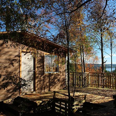 Cabanas Mas Ke Miel Población Población Lago Ranco المظهر الخارجي الصورة